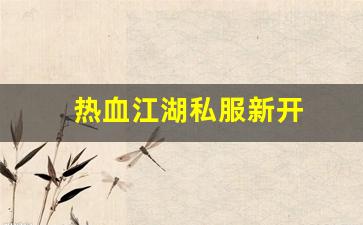 热血江湖私服新开