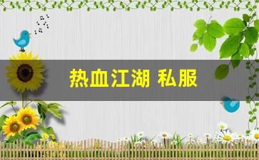 热血江湖主页:热血江湖 私服(超变态热血江湖上线满级手游) (3)
